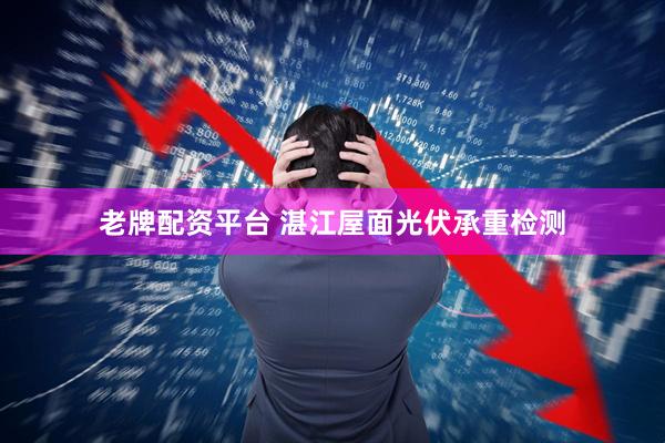 老牌配资平台 湛江屋面光伏承重检测