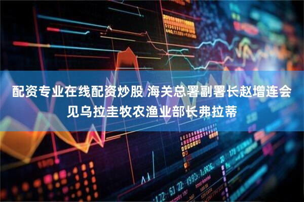 配资专业在线配资炒股 海关总署副署长赵增连会见乌拉圭牧农渔业部长弗拉蒂