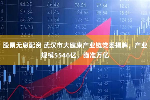 股票无息配资 武汉市大健康产业链党委揭牌，产业规模5546亿，瞄准万亿