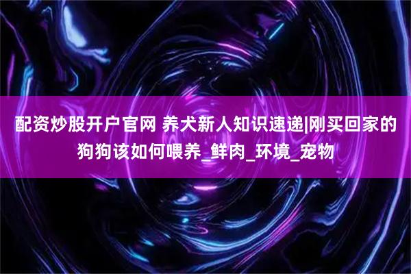 配资炒股开户官网 养犬新人知识速递|刚买回家的狗狗该如何喂养_鲜肉_环境_宠物
