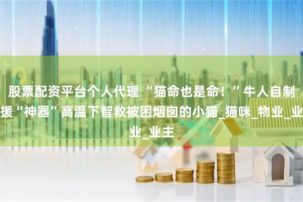 股票配资平台个人代理 “猫命也是命！”牛人自制救援“神器”高温下智救被困烟囱的小猫_猫咪_物业_业主
