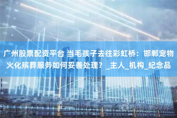 广州股票配资平台 当毛孩子去往彩虹桥：邯郸宠物火化殡葬服务如何妥善处理？_主人_机构_纪念品
