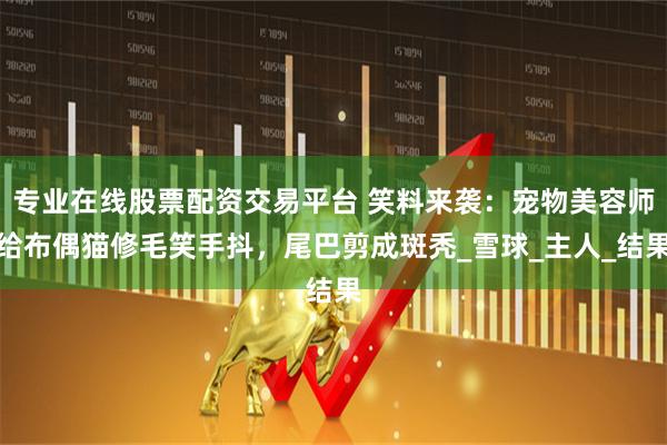 专业在线股票配资交易平台 笑料来袭：宠物美容师给布偶猫修毛笑手抖，尾巴剪成斑秃_雪球_主人_结果